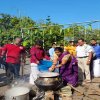 Thaipongal_Festival_2024